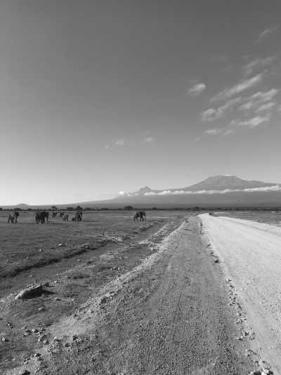 Kenia - Amboseli National Park - Kenyan Wonders Safari: All inclusive Maasai Mara, Lake Nakuru, Amboseli and Nairobi Adventure - 2