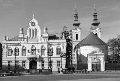 Romania - Timișoara - New Year's Eve & Wild Transylvania: Bisons, Castles & Winter Trekking 🇷🇴 - 1