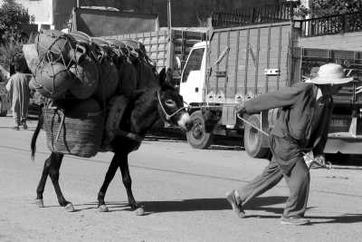 Morocco - Amizmiz - Morocco Culture, Yoga and Surf trip! 🏄 - 2