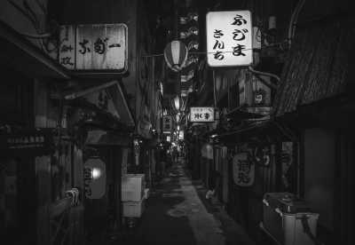 Japan - Tokyo - The Best of Japan: Yokohama, Hakone and Tokyo - Cooking Class, Sumo Experience, Snow Monkeys and More!