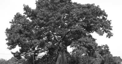 Gambia, The - Buniadu - Angel Abenteuer Afrika - Gambia 😊 - 5