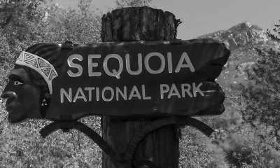 United States - Sequoia & Kings Canyon National Parks - 🌅🌴⛰️ Kalifornien Roadtrip in 2 Wochen ⛰️🌴🌅 - 1
