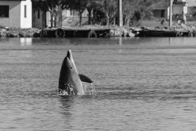 Brazil - Laguna - Unforgettable Trip to Brazil: Trekking, Surfing, Yoga, Whale Watching, and More - 2