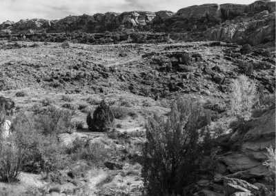 United States - Mill Canyon Dinosaur Bone Trail - Hiker's Paradise in Utah, USA: A Week Exploring 5 Stunning National Parks