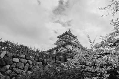 Japan - Nagahama - Visit Japanese Castles, Real-life Animation locations and Ski in Shiga, Japan! 🇯🇵