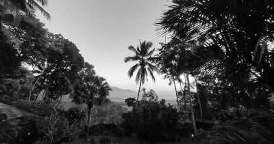 Indonesia - Oase Van Java - Hiking Mount Andong: Mountian for Beginner, Outdoor Activity With Stunning Scene in Indonesia - 5