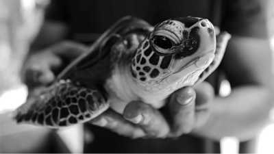 Sri Lanka - Bentota - Tropical Roundtrips: Discovering Sri Lanka's Wonders - 6