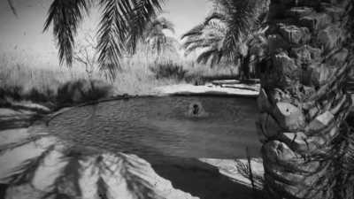 Ägypten - Siwa Oasis - Explore Siwa Oasis in Egypt with a Local! - 6