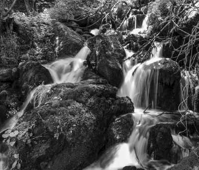 Puerto Rico - El Yunque National Forest - Let's create some content: A photographer's Adventure-Packed Trip to Puerto Rico - 3