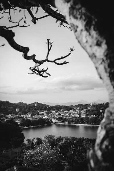 Sri Lanka - Kandy - Discover the Best of Sri Lanka: A One-Week Round Tour of Cultural Heritage, Nature, and Adventure - 5