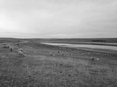 Georgia - Tbilisi - 7-Day Adventure in Eastern Georgia: Exploring Tbilisi-the Capital, Kakheti Wine Country, and Remote Pankisi Valley - 2