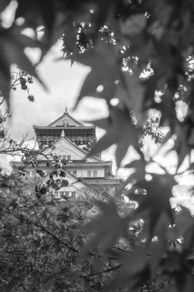 Japan - Osaka - 9 Days of Japan Journeys: Unveiling Autumn's Charms in Osaka, Kyoto, Nagoya, Tokyo! - 7