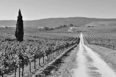 Portugal - Alentejo - Escape to Alentejo, Experience Unique Coworking in the Heart of Portugal! - 1