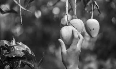 Saudi-Arabien - Umluj - Saudi Arabia 🐪: Road trip through the UNESCO's AlUla, Edge of the world, 🌋 Lava fields, 🥾 Canyon hike, Culture 🇸🇦 - 1