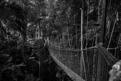 Malaysia - Taman Negara National Park - Embrace the Best of Malaysia: Rainforests, History, Culture, and Food in Perfect Balance! - 2