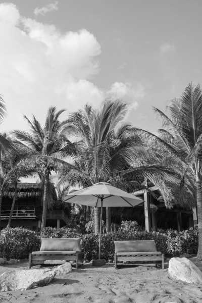 Tanzania - Zanzibar - Zanzibar: Co-Working in Paradise 🐚💻 (private rooms) - 2