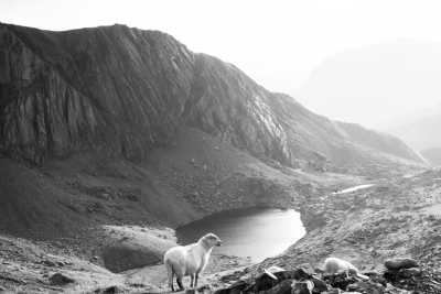 Vereinigtes Königreich - Yr Wyddfa - Explore Snowdonia National Park, UK  - Breathtaking landscape and views ❄️ - 3