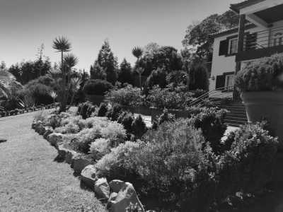 Portugal - Madeira Islands - Homeoffice auf Madeira: Einzelzimmer, Schreibtisch, 400qm Villa, 4800qm2 Garten, Gym, Game Room, ... - 5