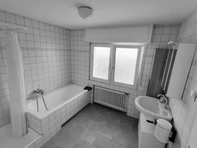 Germany - Offenbach - Exploring German Delights: Frankfurt, Heidelberg, and Düsseldorf - Uncover History, Culture, and Adventure! - 2