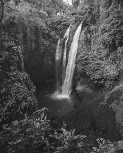 Indonesien - Ubud - Jungle Wellness Retreat Bali, Indonesia: Yoga, Waterfalls, Breathwork & MORE! - 1