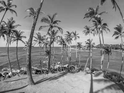 Sri Lanka - Co-Working in Sri Lanka - Explore The Paradise lsland Beach, Party, Nature, Waterfall, Traditional Foods - JoinMyTrip