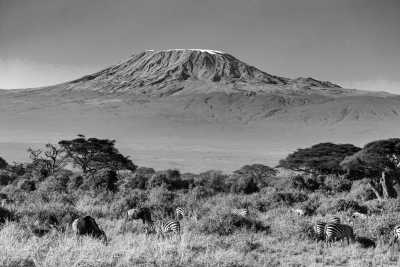 Tanzania - Kilimanjaro International Airport - Safari In Tanzania: Create Best Wildlife Experience - 1