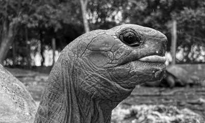 Tanzania - Kiwengwa - 10-day trip around Zanzibar island, Tanzania 🌴 - 5