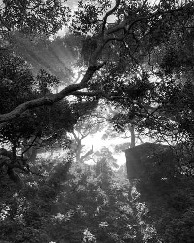 South Africa - Bulungula Xhosa Community EcoLodge - South Africa Roadtrip with a Local: Untouched beaches 🌞, Mountains, Wilderness, Campfires & Adventure 🤙 Epic Roadtrip through an epic Country🚙 - 5