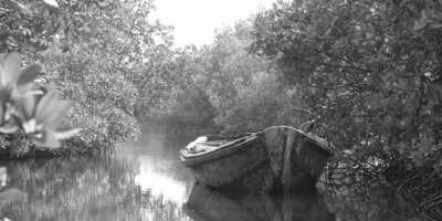 Senegal - Pointe-Saint-Georges - Sailing Adventure in the Casamance of Senegal - 7