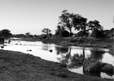 Tansania - Ruaha National Park - Discover the Magic of Tanzania: Mikumi, Udzungwa Mountain and Ruaha National Parks - 2
