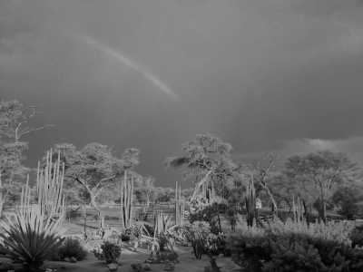 Namibia - Gross Okandjou - Discovery Horseback Ride in Namibia: Ride from Inland to the Atlantic Coast
