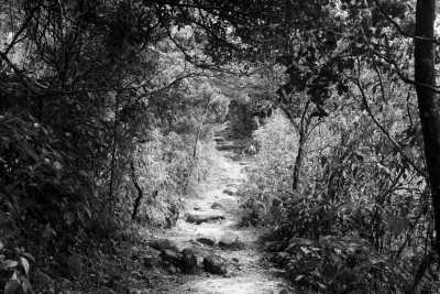 Sri Lanka - Thangappuwa - Exploring Knuckles: Hiking the Hidden Gem of Sri Lanka - 7