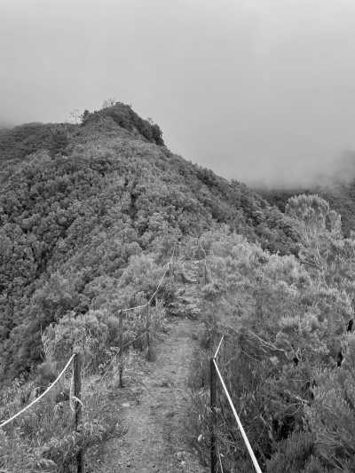 Portugal - Boaventura - Coworkation and adventurous hiking trip with a knowledgeable expat in the centre of Funchal, Madeira (single rooms) - 3