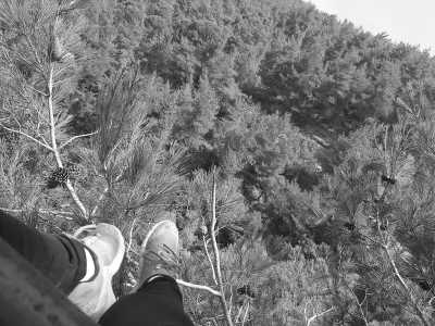 Libanon - Tannourine Cedar Reserve محمية أرز تنورين - Lebanon: Culture, Food, History, Hiking, and Leisure Combined - 1