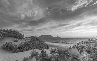 South Africa - Melkbosstrand - Remote Work near Cape Town with Tech Startup Group (single weeks possible) - 4