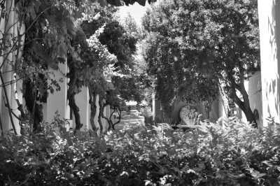 Südafrika - Stellenbosch - Studienreise Südafrika: rechts und links der Touristenpfade - Johannesburg trifft das Kap - 2