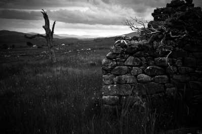 Irland - Healy Pass - Fotoreise und Foto-Workshop - Entdecke Irland! 📷🇮🇪