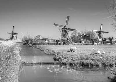 Niederlande - Kinderdijk - Explore the Delights of Rotterdam: Uncover the Charms of the Netherlands