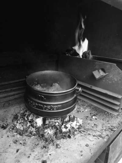 South Africa - Plettenberg Bay - Cape Town and the Garden Route 🐘 7 Days 🌞 Explore South Africa with a Local 🌊 - 4