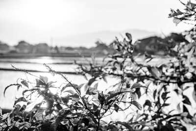 Thailand - Doi Saket District - 20 Days: Spend X-Mas in the North of Thailand and New Year's by the Beach | Exploring Hidden Gems & Chillax - 1