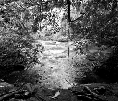 Cambodia - Chi Phat - Natural Cambodia - 🐾 a trip that no one has ever taken ⚡ (Angkor temples, capital, jungles and relax at the Island are included!) - 4