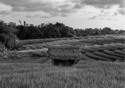 Indonesien - Canggu - Travel to Bali, Indonesia | 10 Days of Surfing, Snorkelling and Exploring - 4