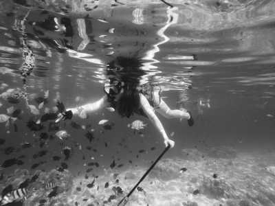 Indonesien - Kanawa Island Resort - Explore Komodo Island : The Real Jurassic Park - 7