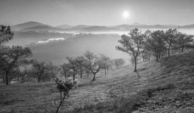 Vietnam - Dalat - Escape to Dalat and Forest Camping - Short Trip to Vietnam - 1