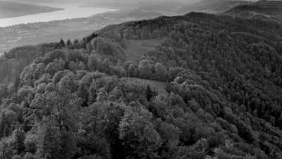 Schweiz - Zürichberg - Weekend in Zurich | Females Only Trip | (Almost) all included