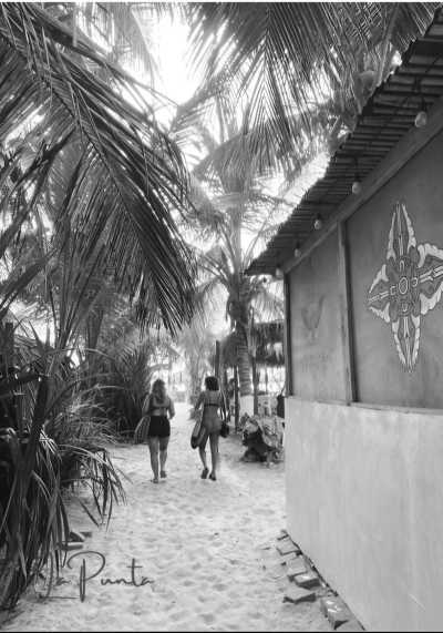 Mexiko - Puerto Escondido - Mexico's Pacific & Atlantic Coast all in one trip - Puerto Escondido & Playa del Carmen (*FOR ANIKA ONLY*) 🇲🇽🏖🌊🌮 - 20