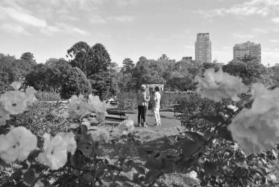 South America - Bosques de Palermo - Discover Buenos Aires: A Guided Coworking Journey with a Local Expert + Colonia del Sacramento (Uruguay) - 3