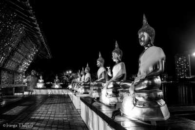 Sri Lanka - Colombo - Explore Sri Lanka for 5 Days: Kandy and Down South - 5