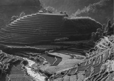 Vietnam - Mù Cang Chải District - Trekking Mu Cang Chai: Discover the Magnificent Rice Terraces of Northern Vietnam - 2