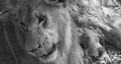 Westafrica - Gambia - Abenteuerreise nach Afrika - Gambia 😊 - 9